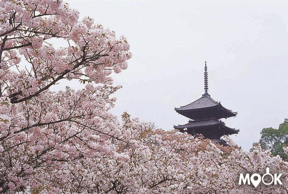 旅型攻略 日本京都 金閣寺 嵐山 西陣 上賀茂 龜岡